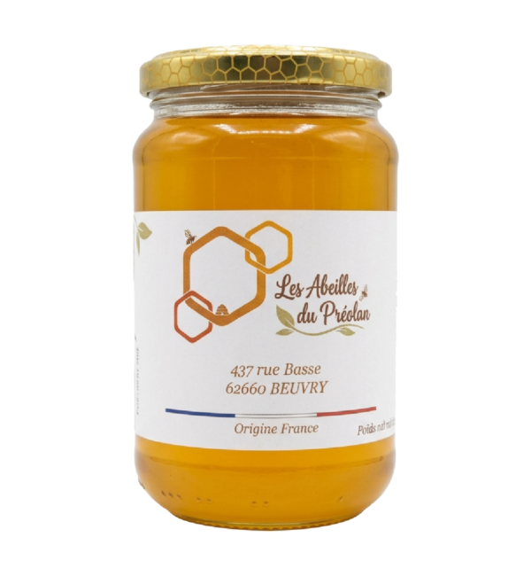 Miel de printemps pot de 500 grs